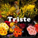 TRISTE (96kHz/24bit)